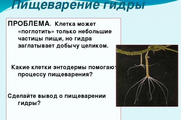 Прямая ссылка на кракен
