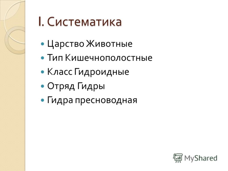 Кракен через тор браузер