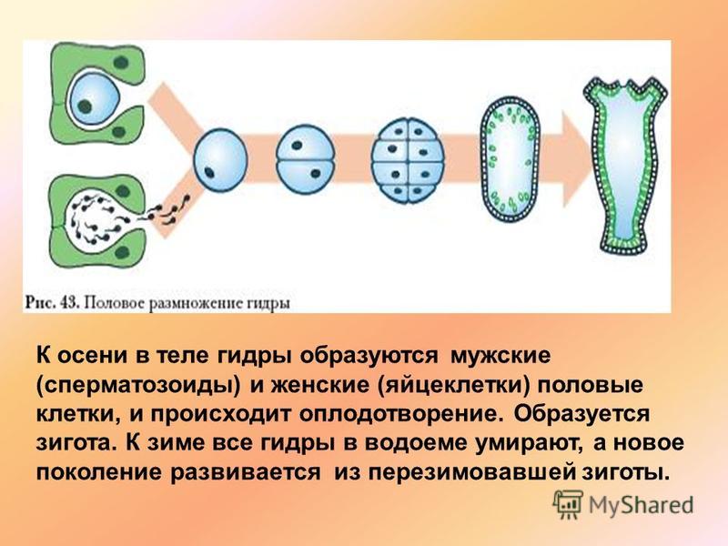 Kra34.cc